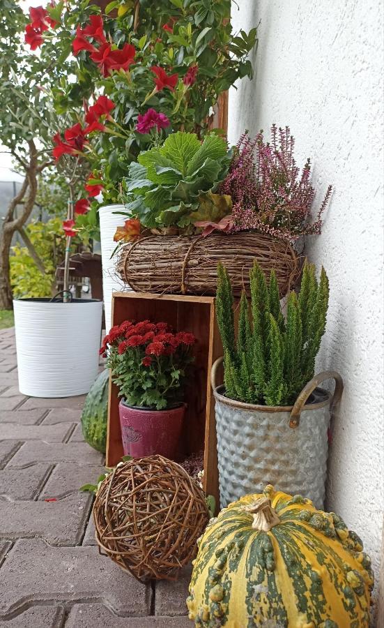 Ferienwohnung Stubenboeck Achenkirch Exterior foto
